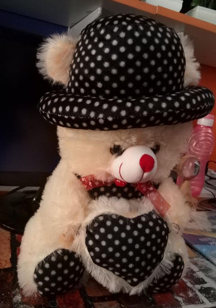 TEDDY BEAR product image (2)