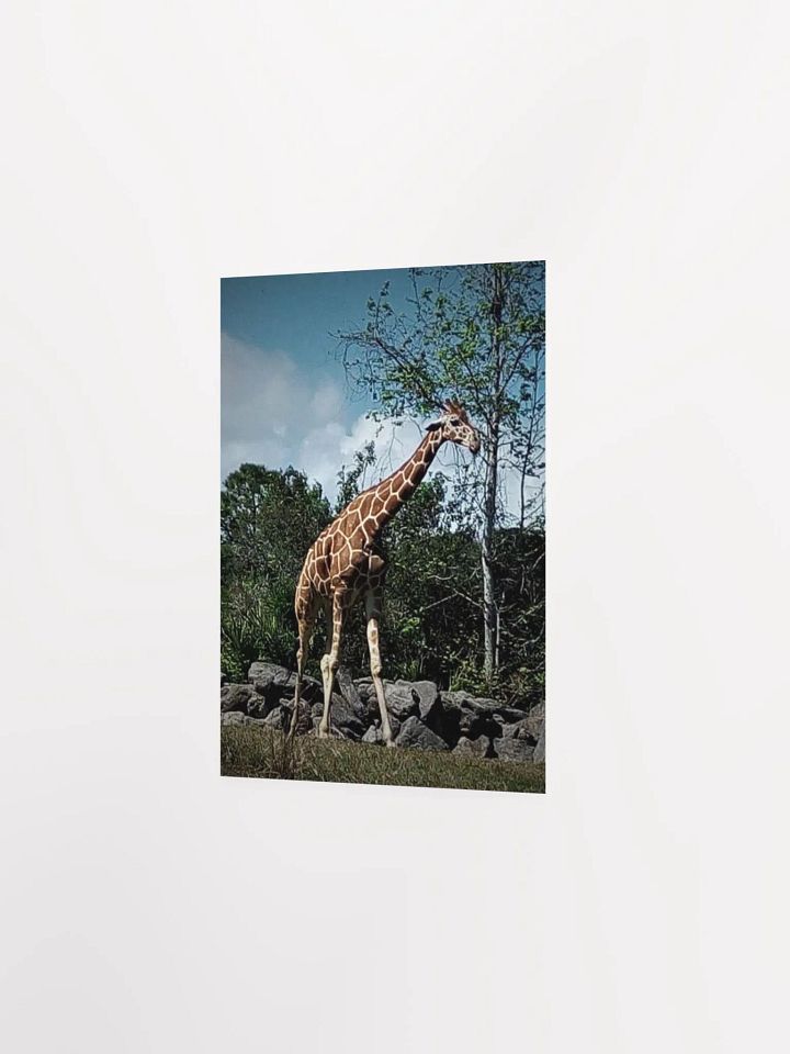 Giraffe Dark Edit product image (17)