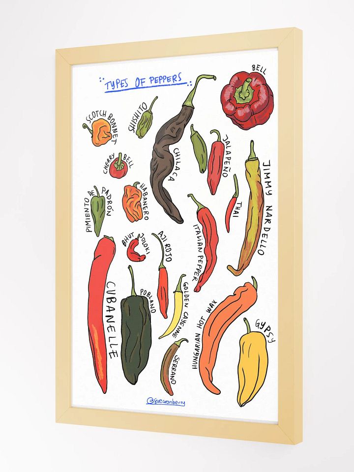 Types of Peppers Framed Poster product image (2)