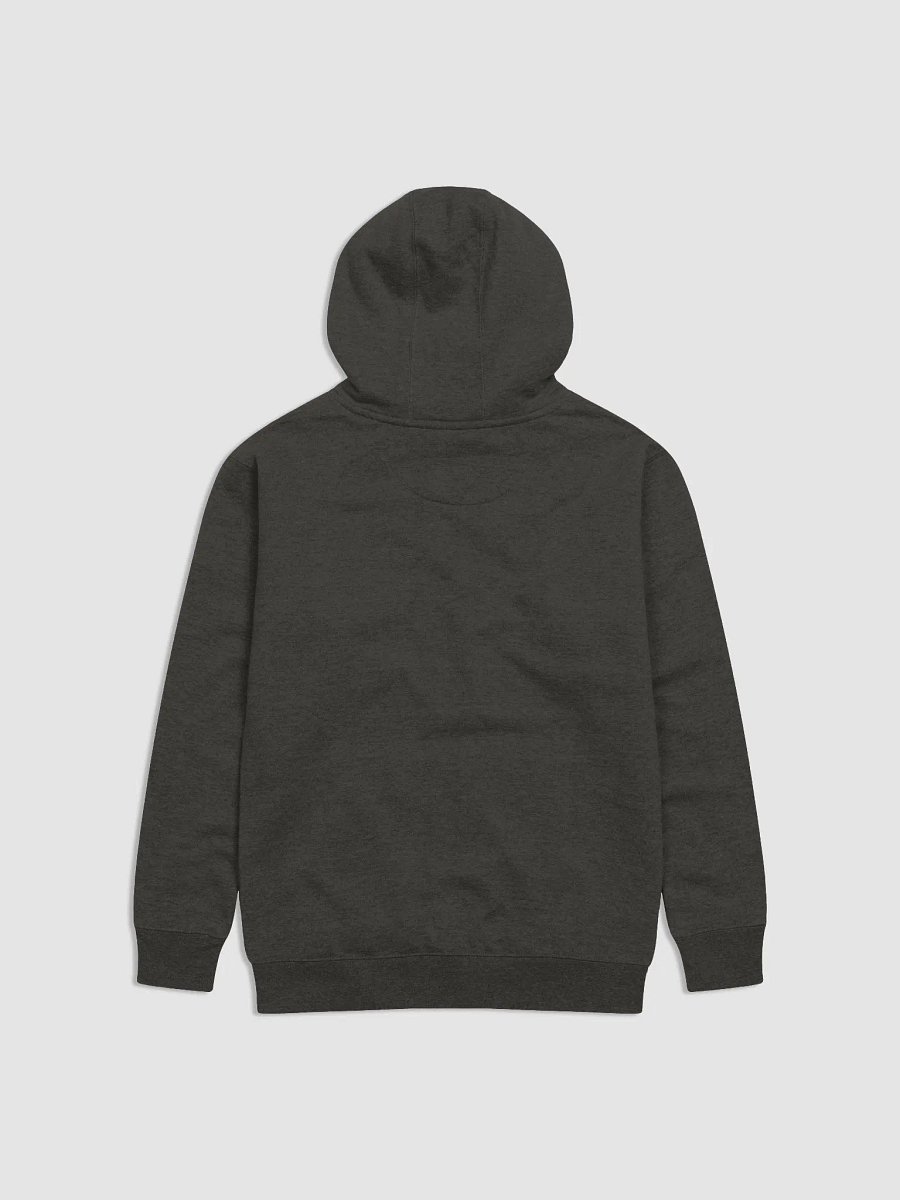 Infodumping - Neurodivergent (Hoodie) product image (5)