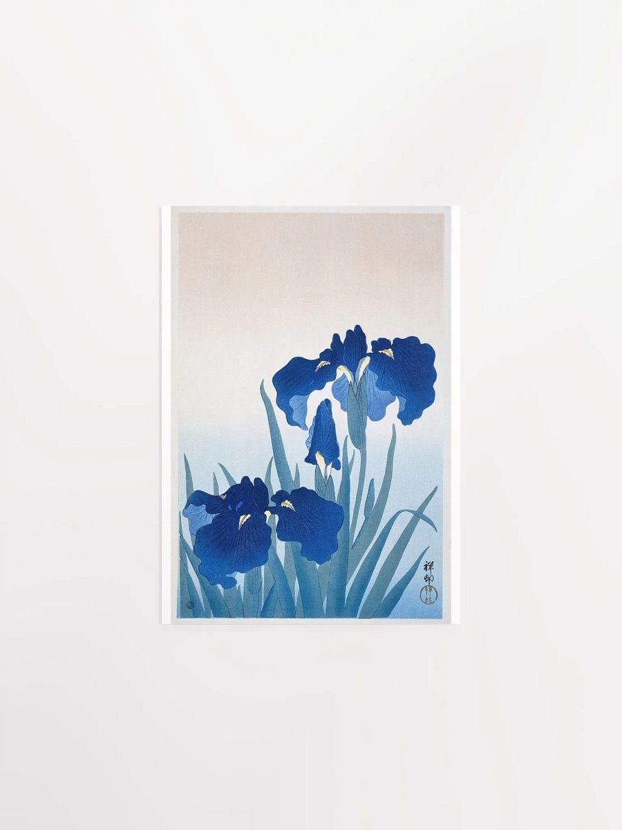 Iris Flowers by Ohara Koson product image (1)