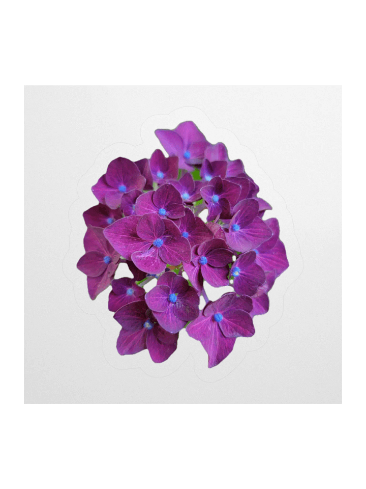 Flower Stickers v1 product image (1)