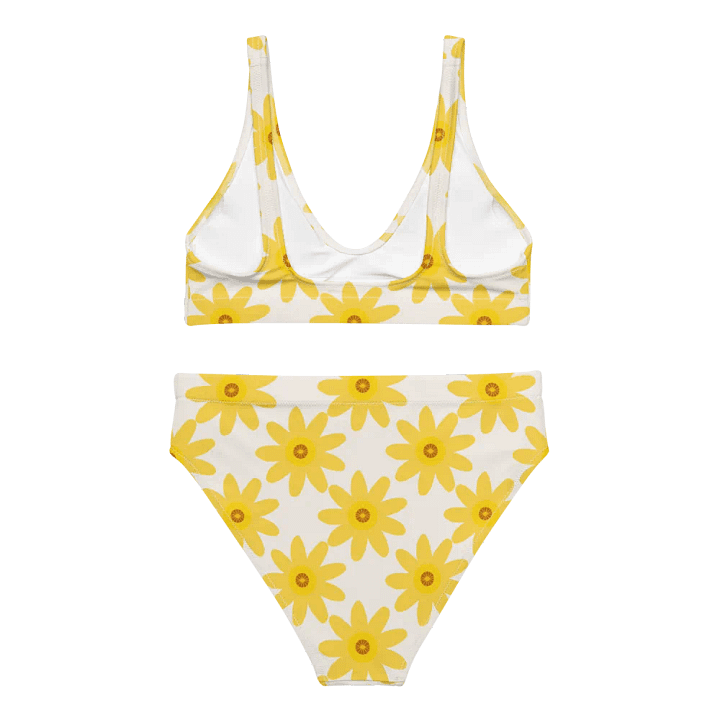 Daisy Dreams #3 High-Waisted Bikini Set product image (2)