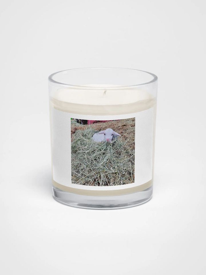Whiskey's nest product image (1)