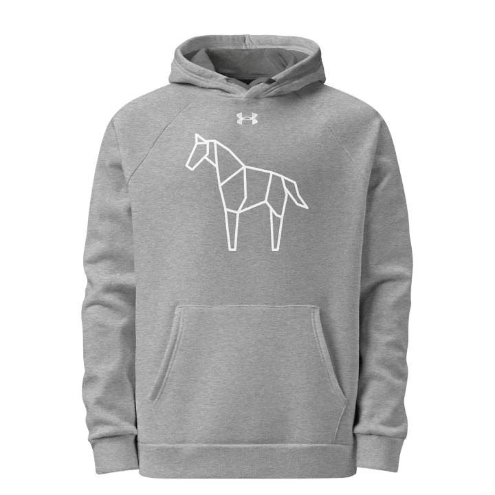 Under Armour® Unisex Hoodie product image (1)