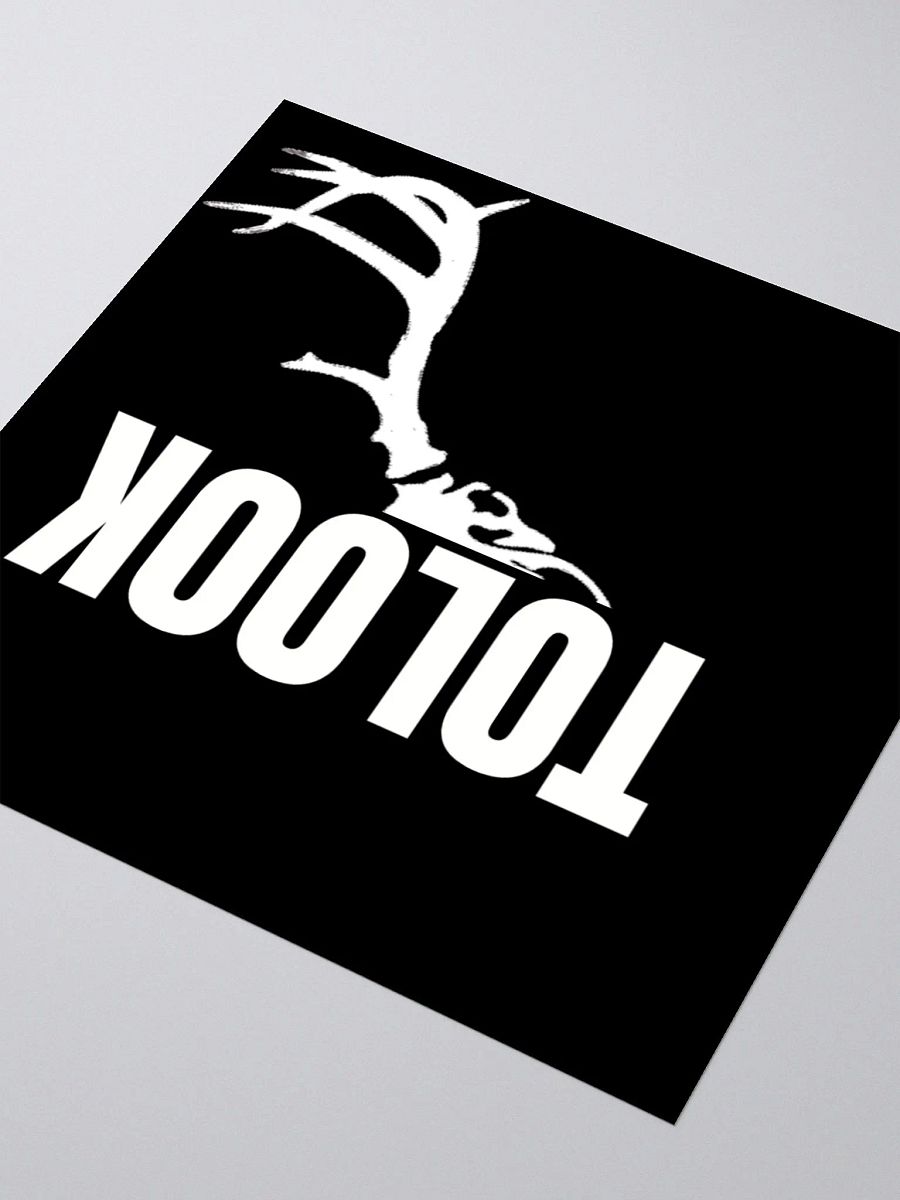 Tolook Logo Vinyl Stickers product image (3)