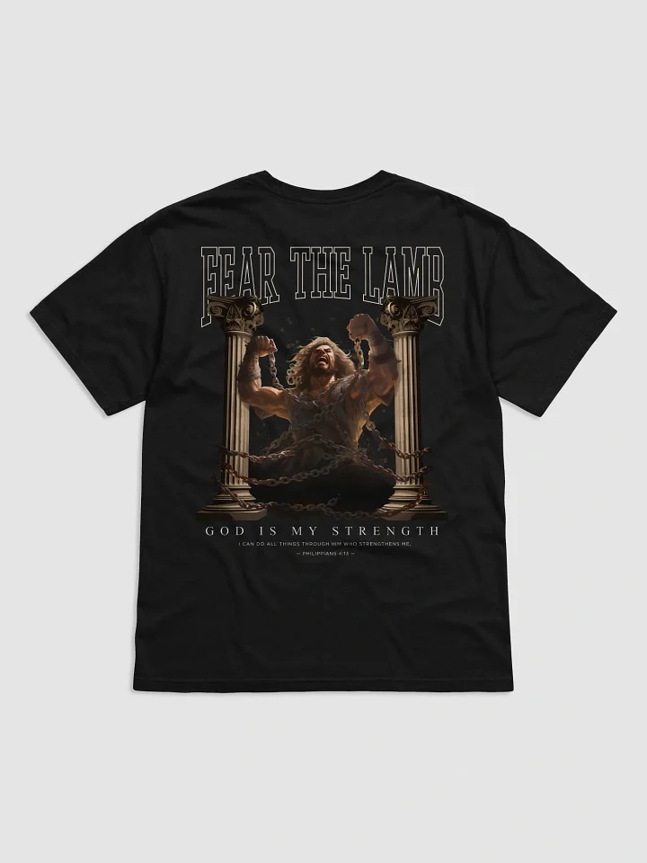 Samson - God is my strength product image (4)