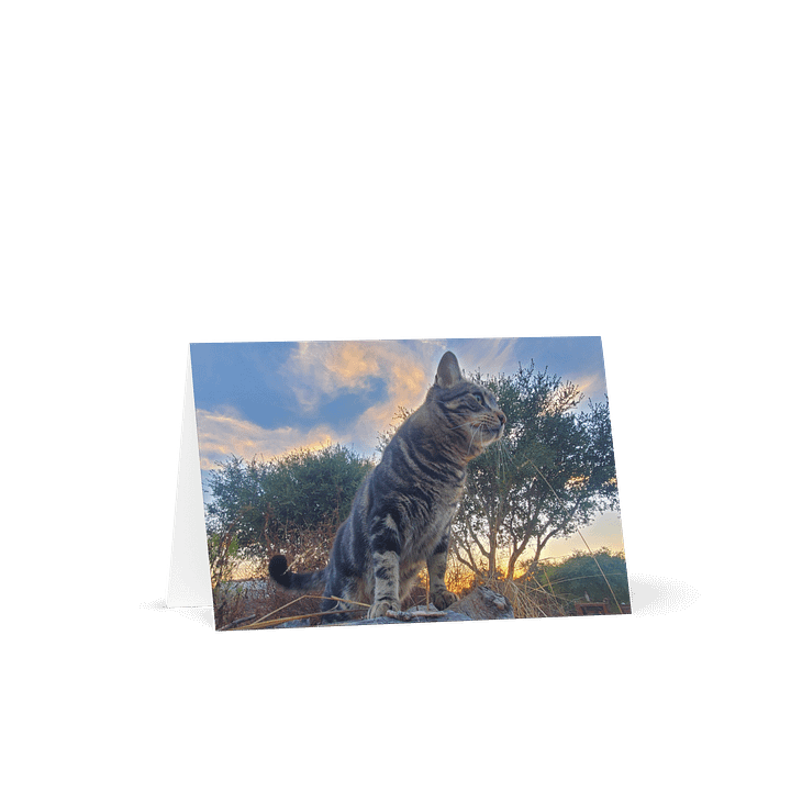 Purrsie's Golden Hour Greeting Card product image (1)