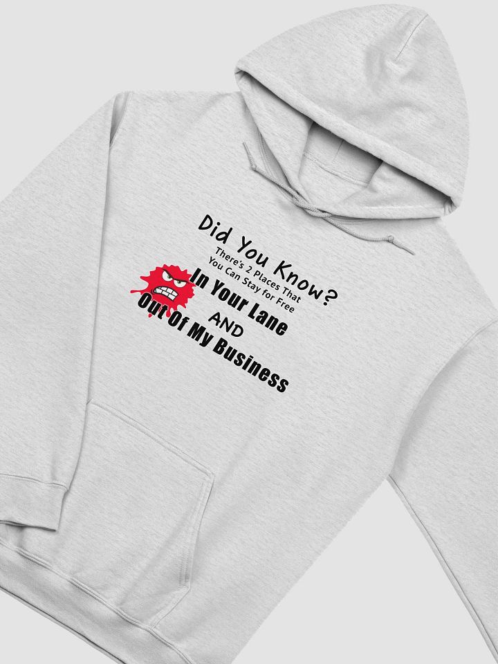 Did you Know Hoodie product image (2)
