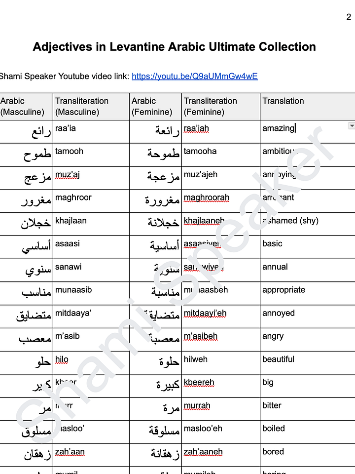 Adjectives in Levantine Arabic Ultimate Collection product image (2)