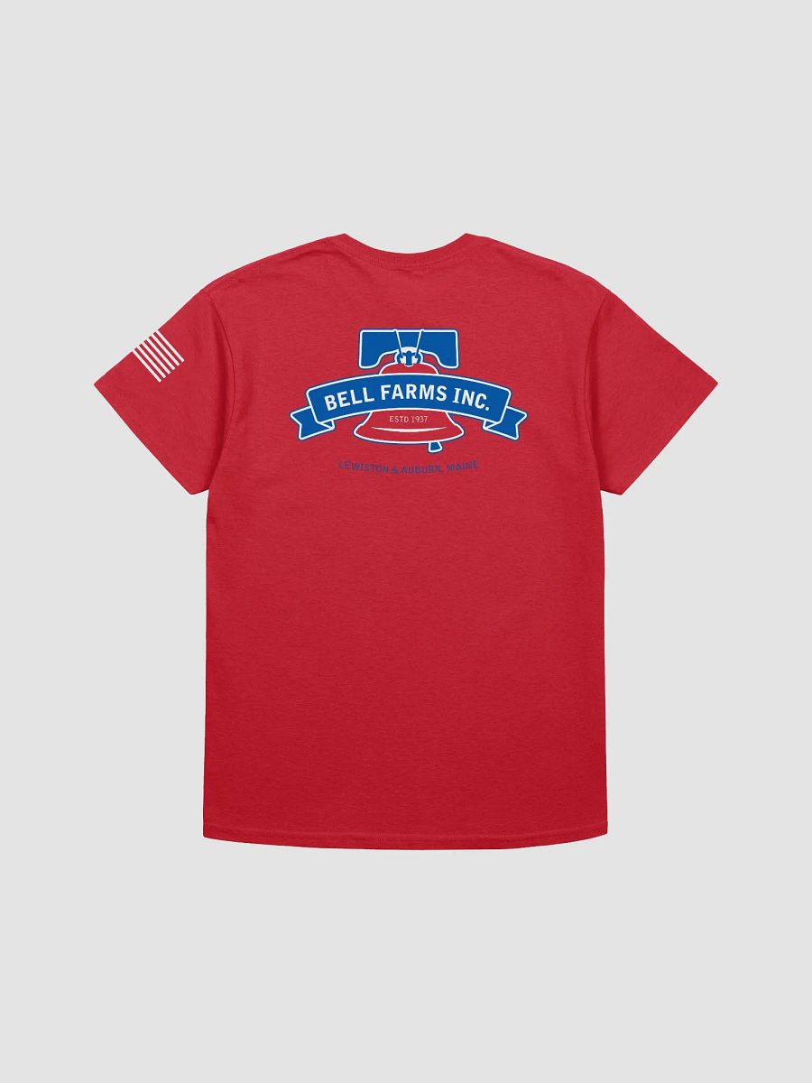 Heavy weight Red T-shirt product image (2)