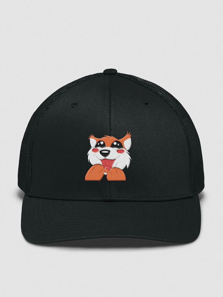 FidgPLS Hat product image (2)