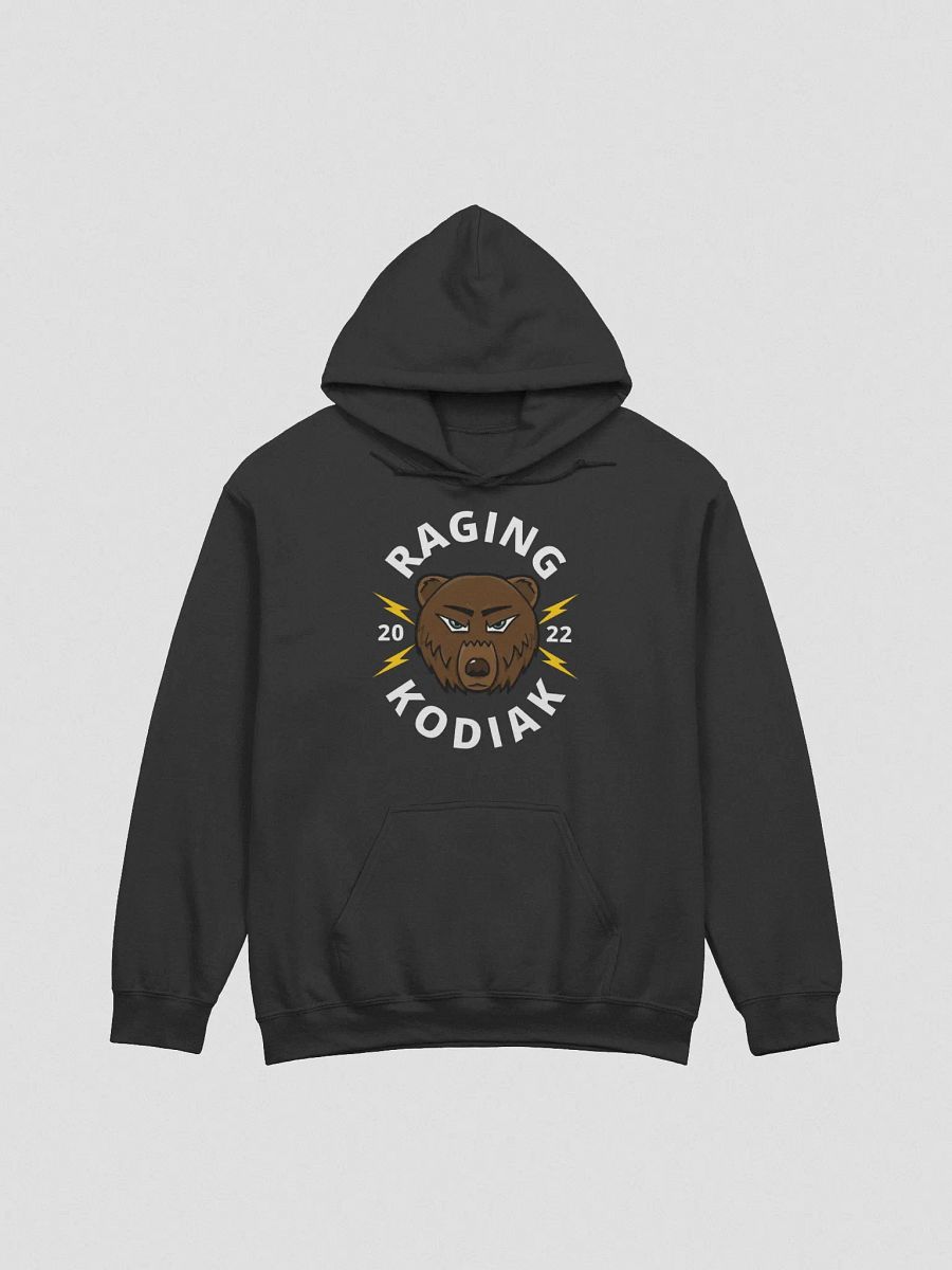 Classic Bear Hoodie product image (3)