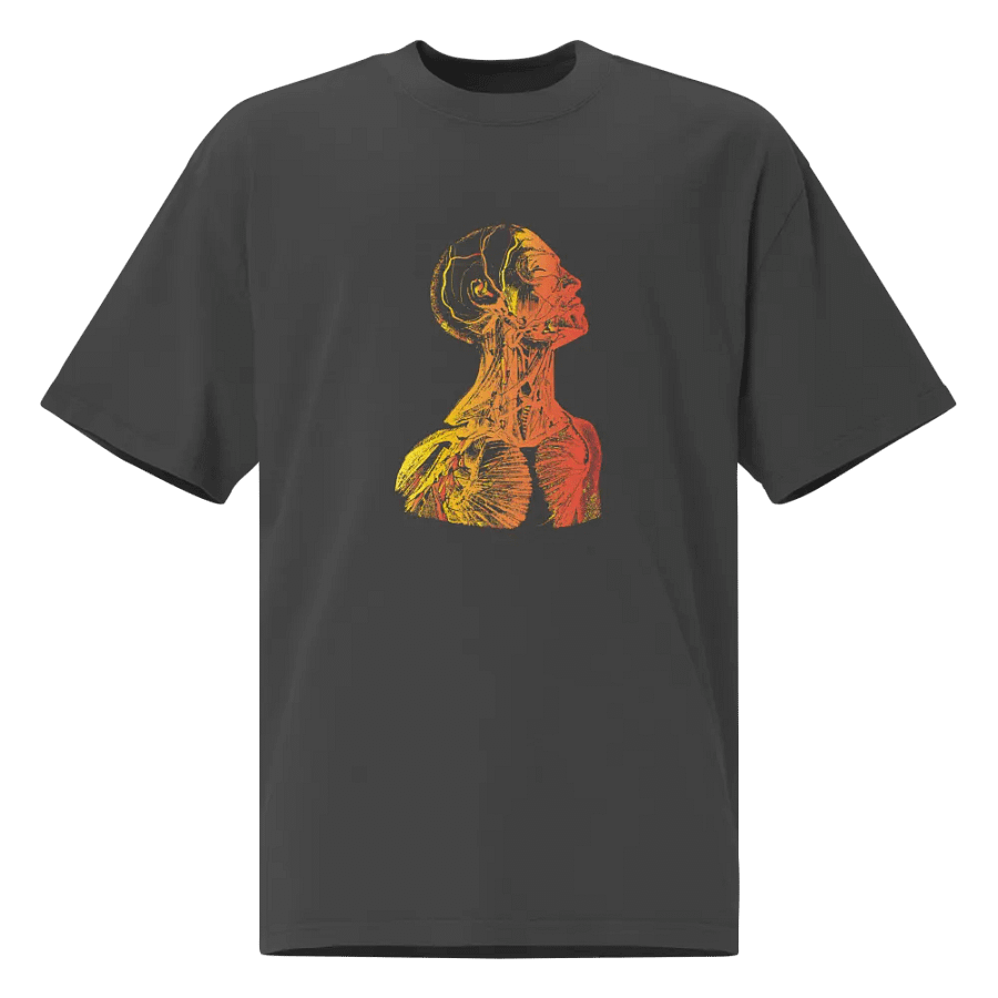 Anatomy - Head product image (1)