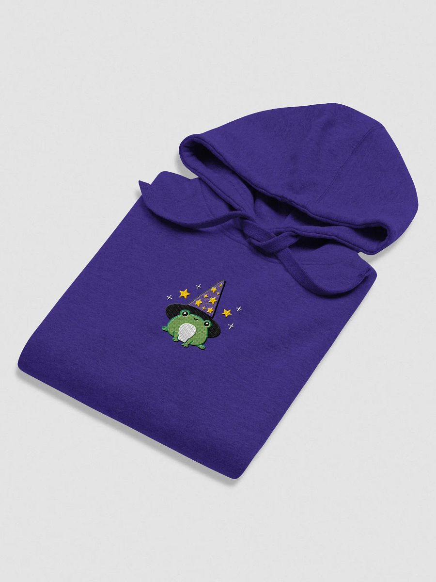 Enchanted Frog Wizard Embroidered Unisex Hoodie product image (8)