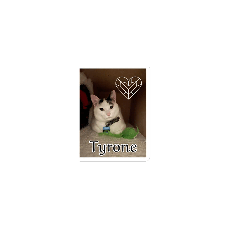Tyrone Magnet product image (1)