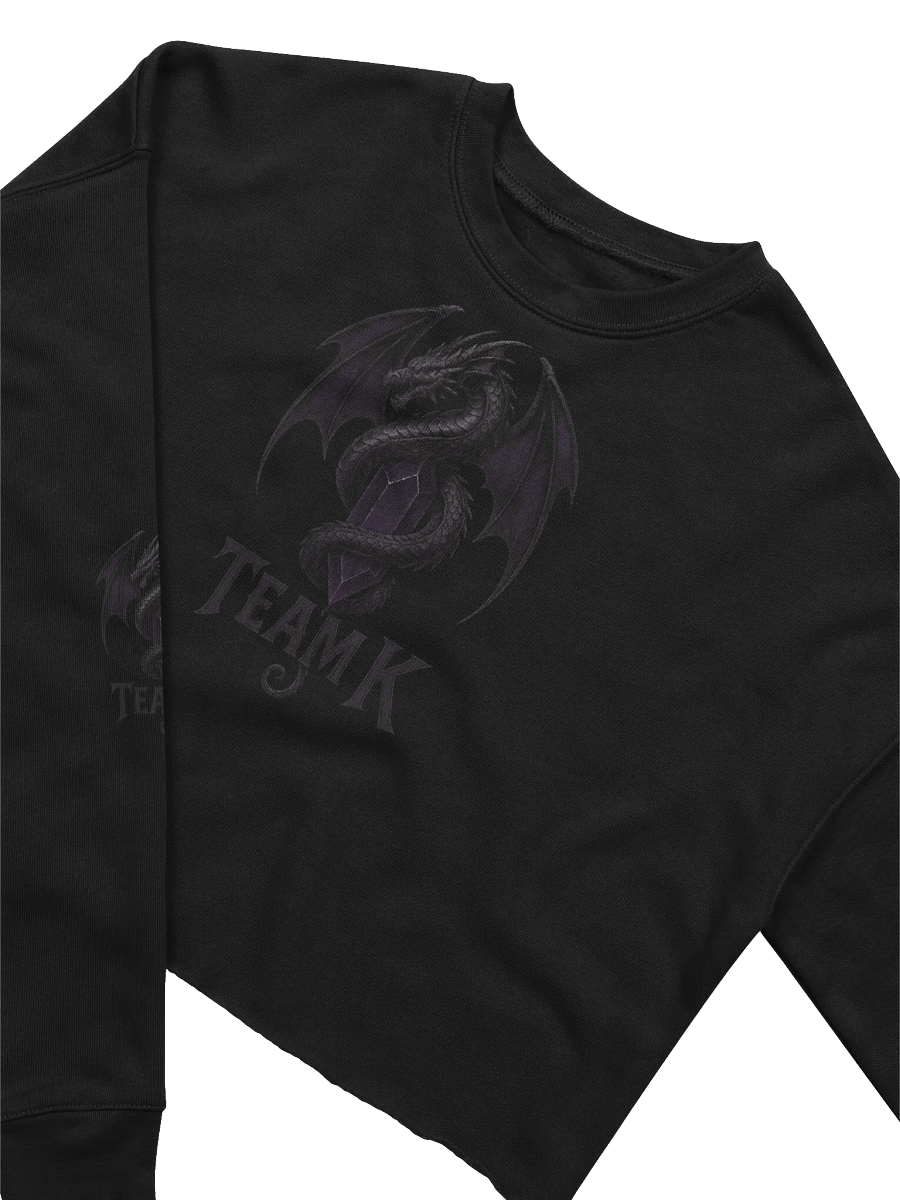 Team K V-4 Crop Sweatshirt product image (3)