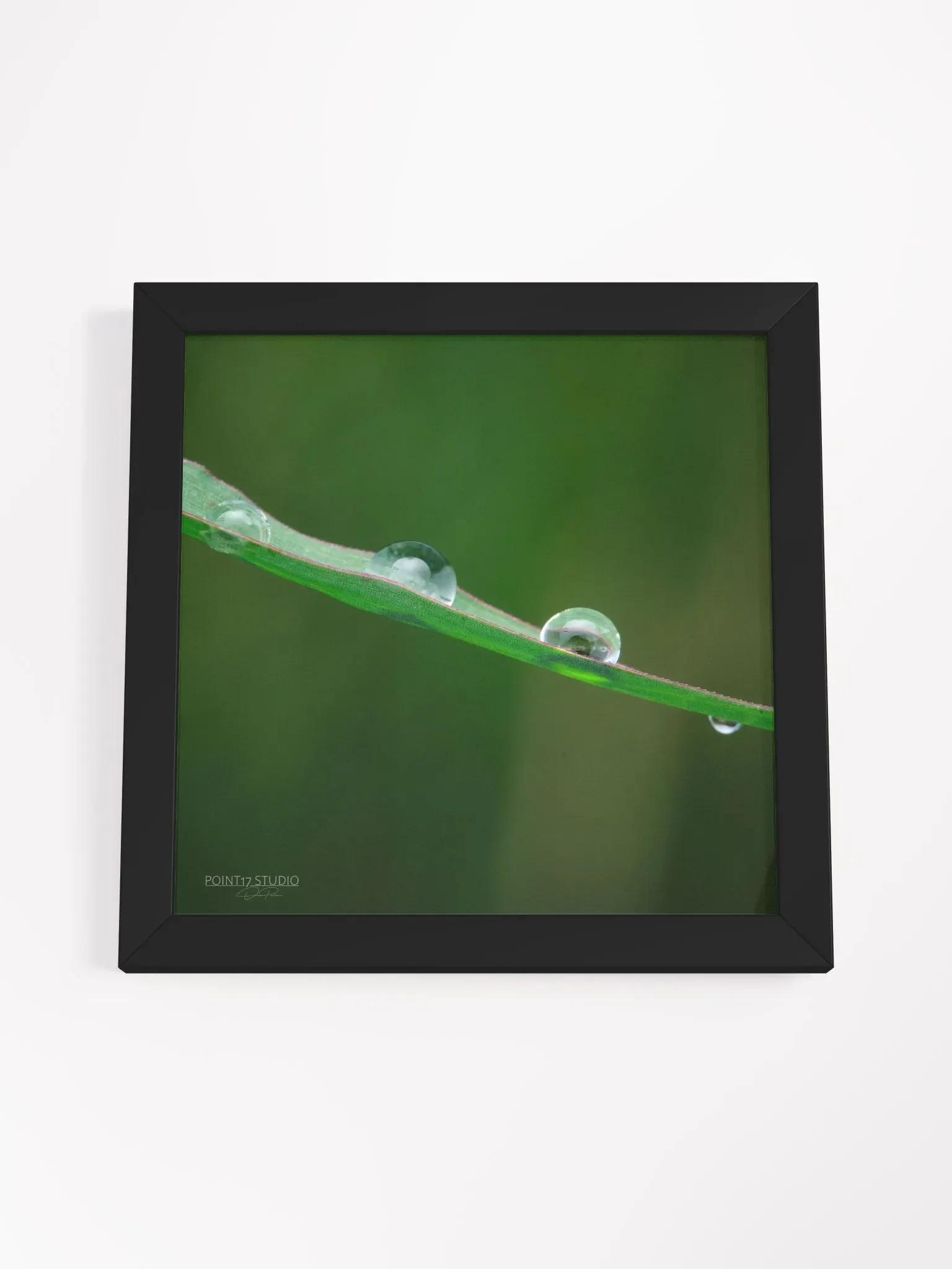 Dew Gems #5 - Framed Print product image (4)
