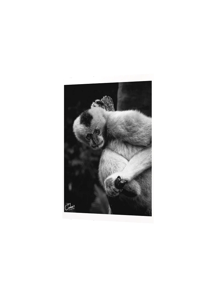 The Gibbon In The Tree - Print product image (2)