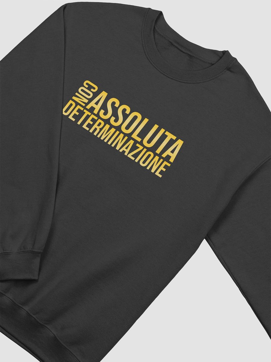 Felpa Con assoluta determinazione product image (4)