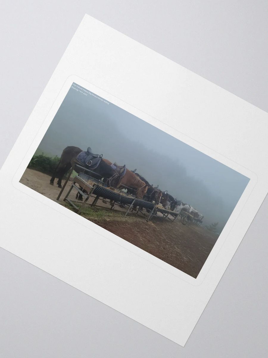 Jeju Island Unesco fog Korean horses resting product image (2)
