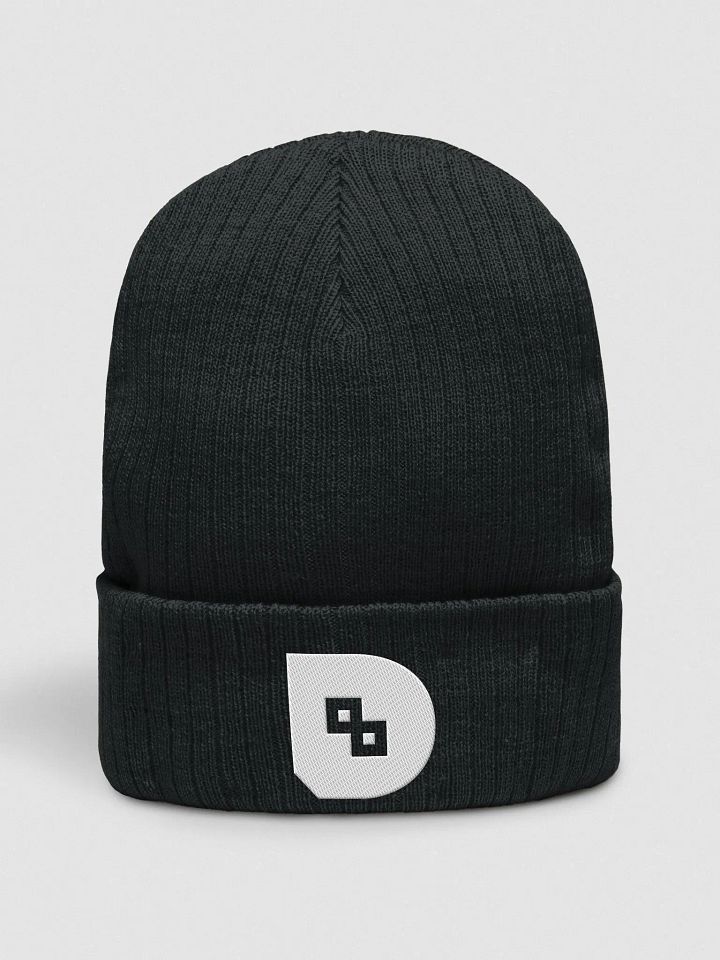 Danfinity Logo Beanie product image (1)