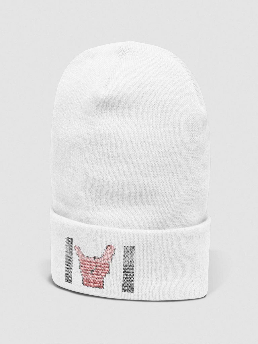 TDI Beanie product image (3)