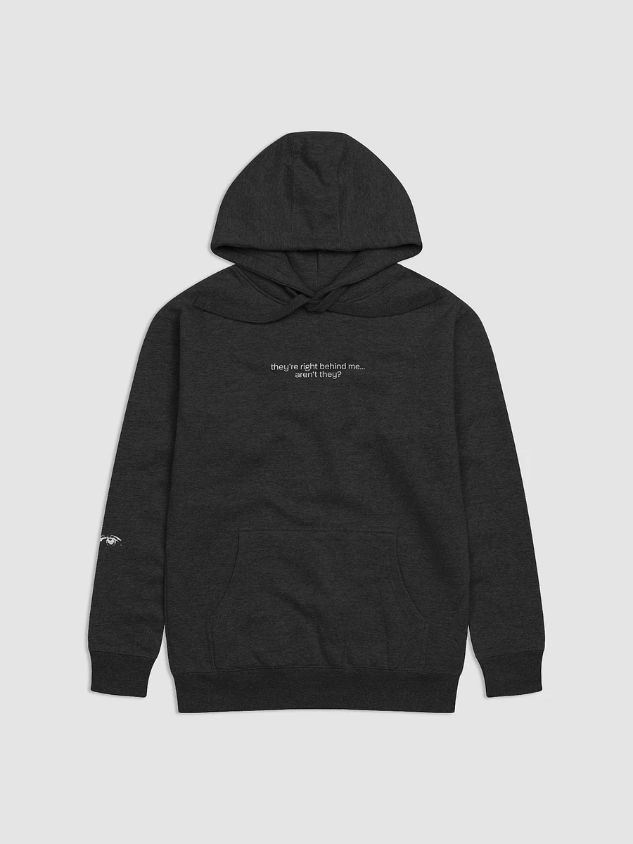 they're right behind me... aren't they? Hoodie product image (8)