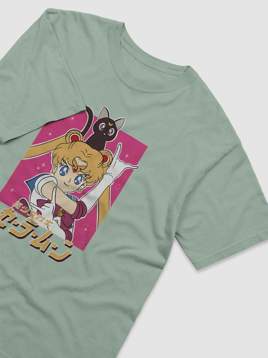 Sailor Moon and Luna Dynamic Duo product image (35)