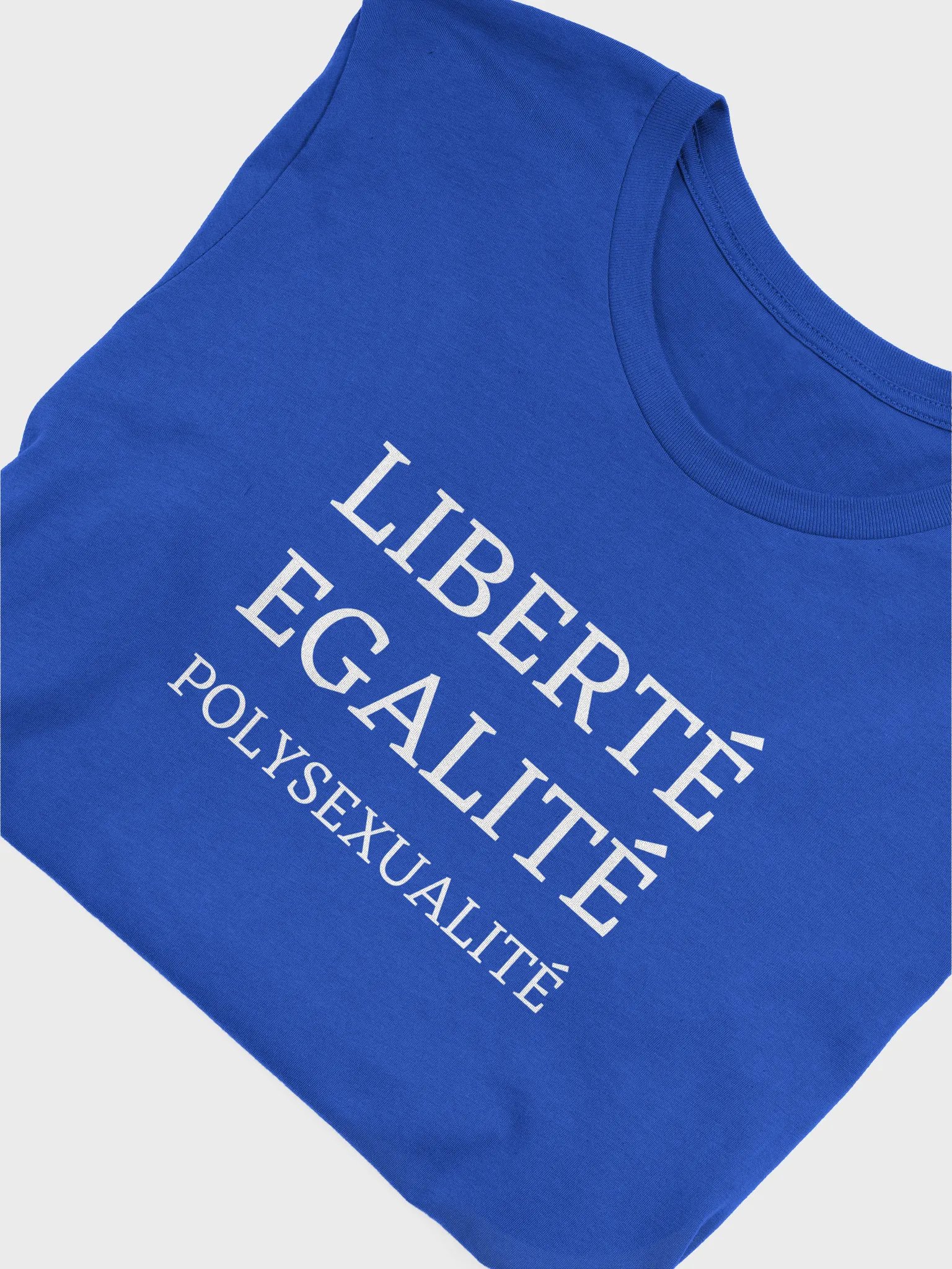 liberte egalite polysexualite t-shirt product image (5)