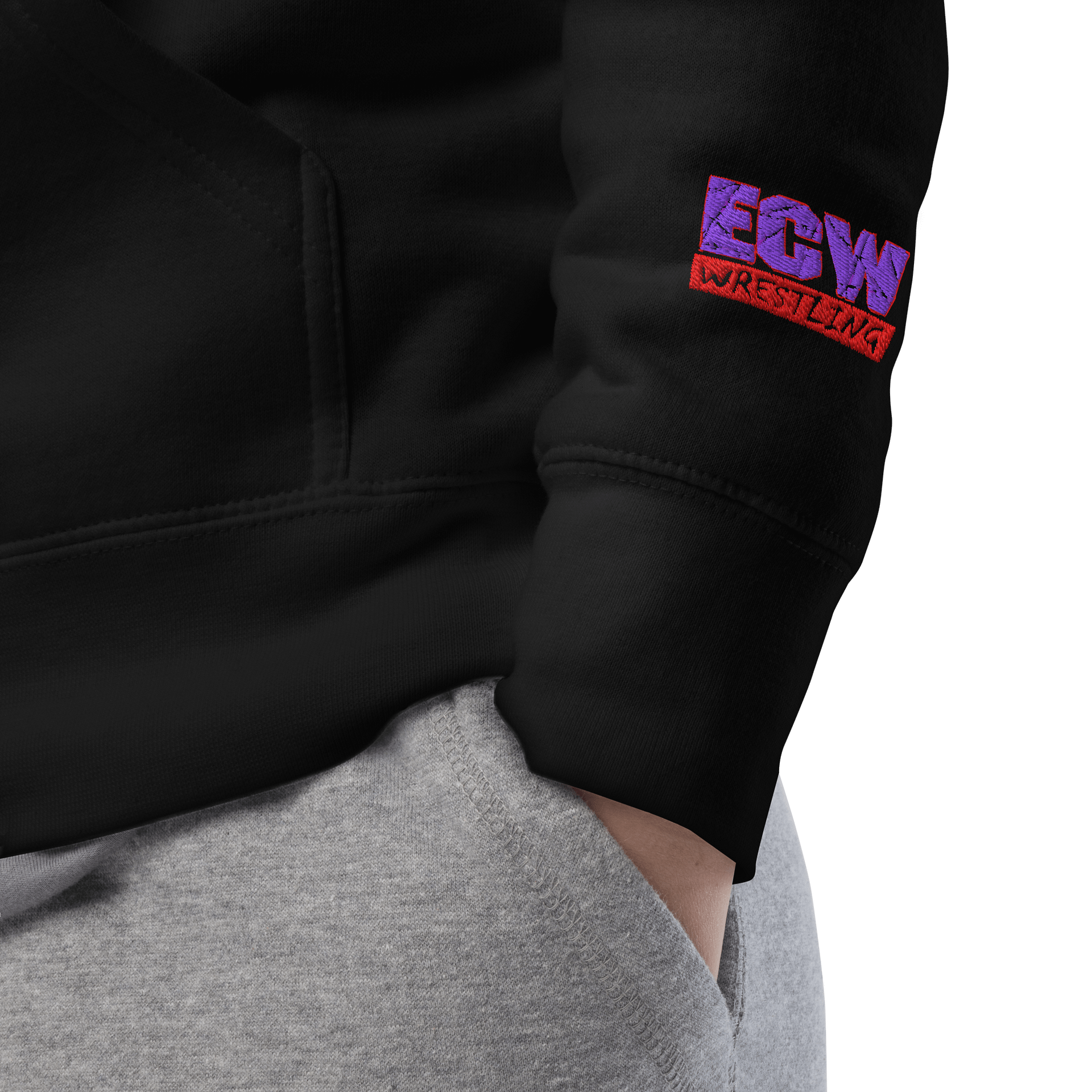 ECW Wrestling Logo Premium Hoodie product image (5)