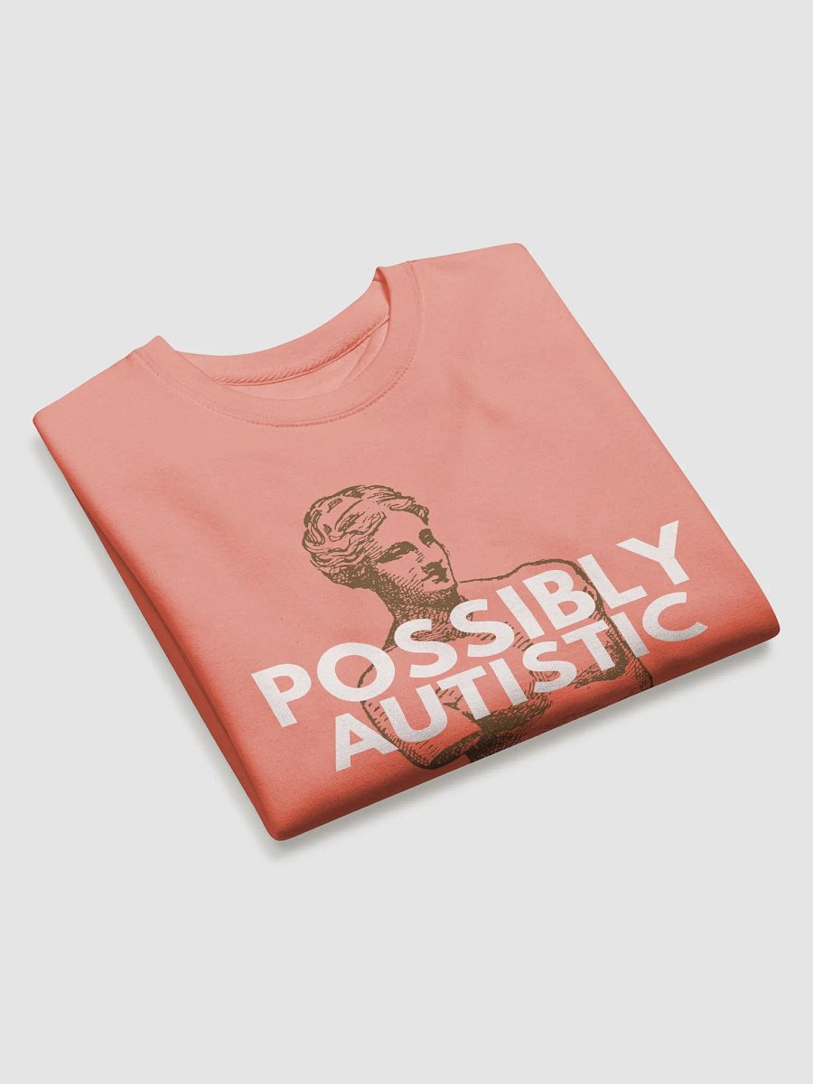 POSSIBLY AUTISTIC - SWEATER product image (3)