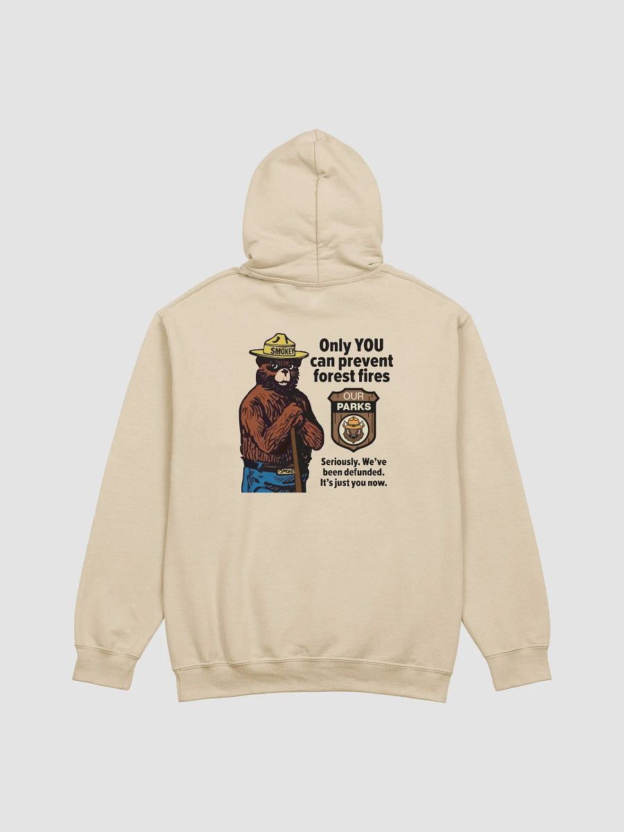 We've been DEFUNDED Smokey Our Parks Bear Pullover Hoodie Alt National Parks product image (3)