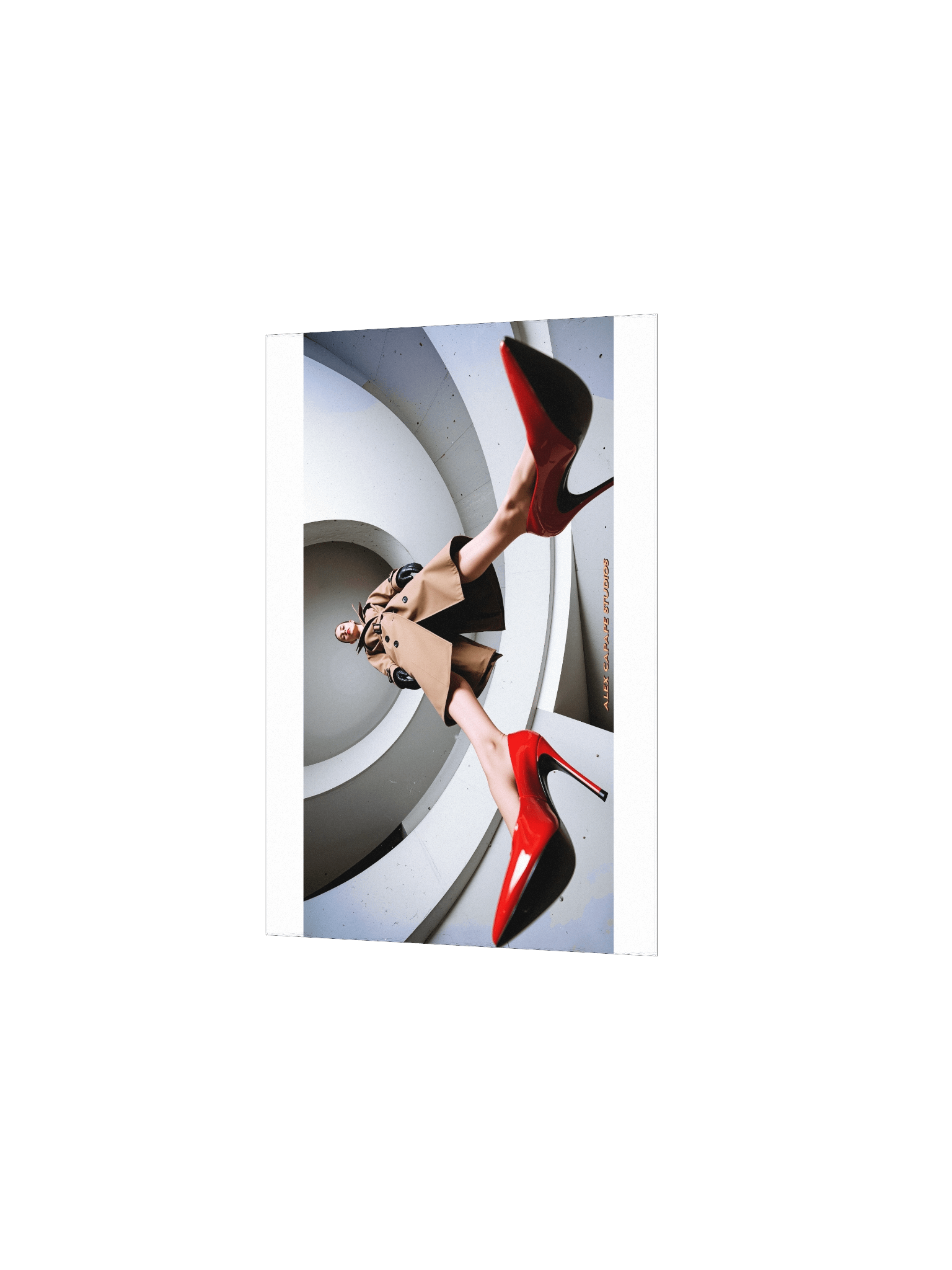 Dorothy III product image (8)