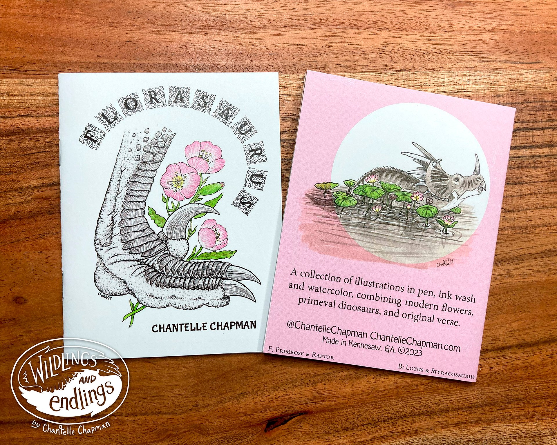 'Florasaurus' Handmade Book, Dinosaurs and Flowers Poem with Traditional Ink & Watercolor Illustrations product image (1)