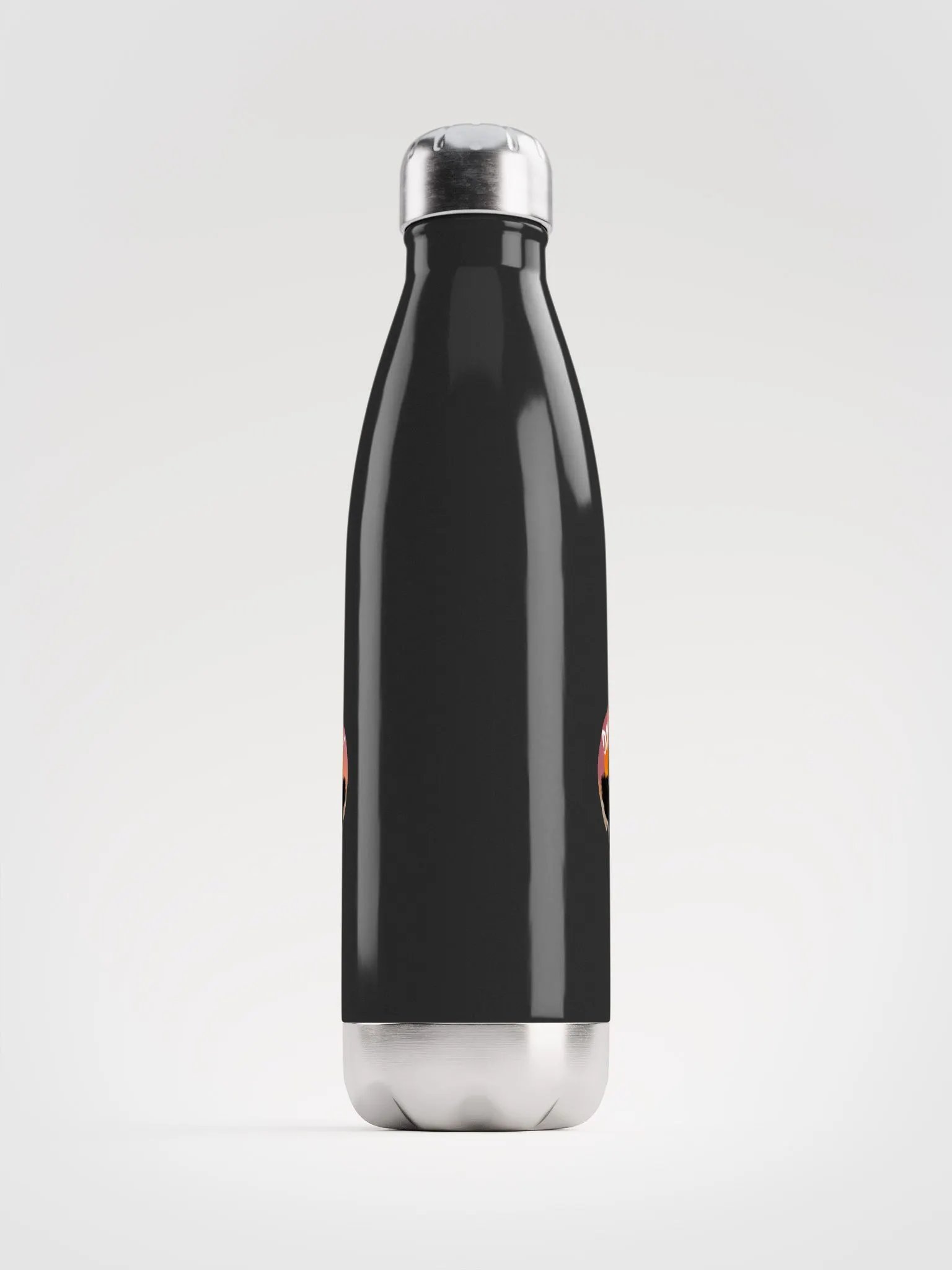 Stainless Steel Water Bottle product image (1)