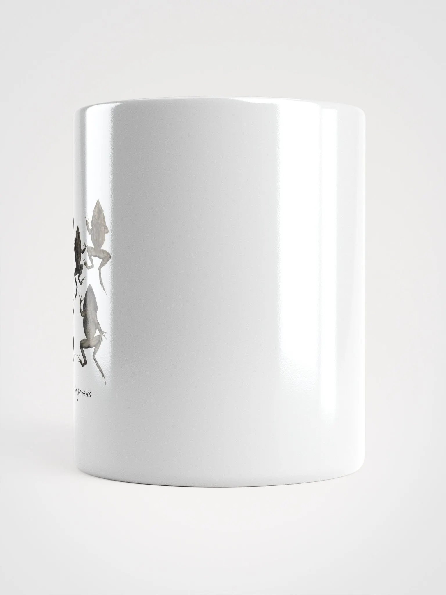 Rana Temporaria - Vintage Frog Design product image (9)