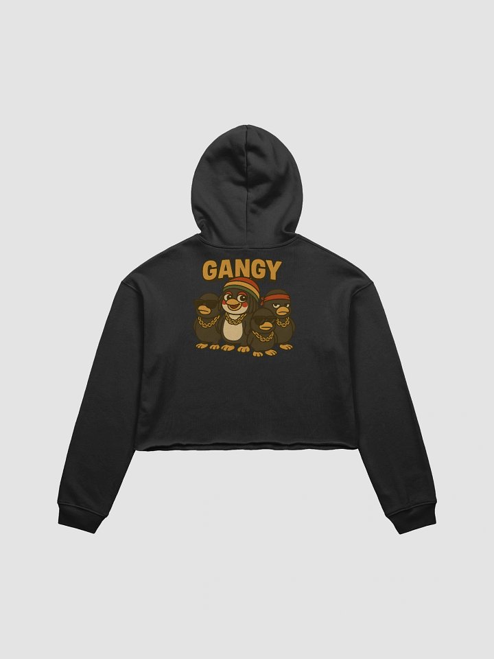 GANGY Crop Hoodie product image (5)