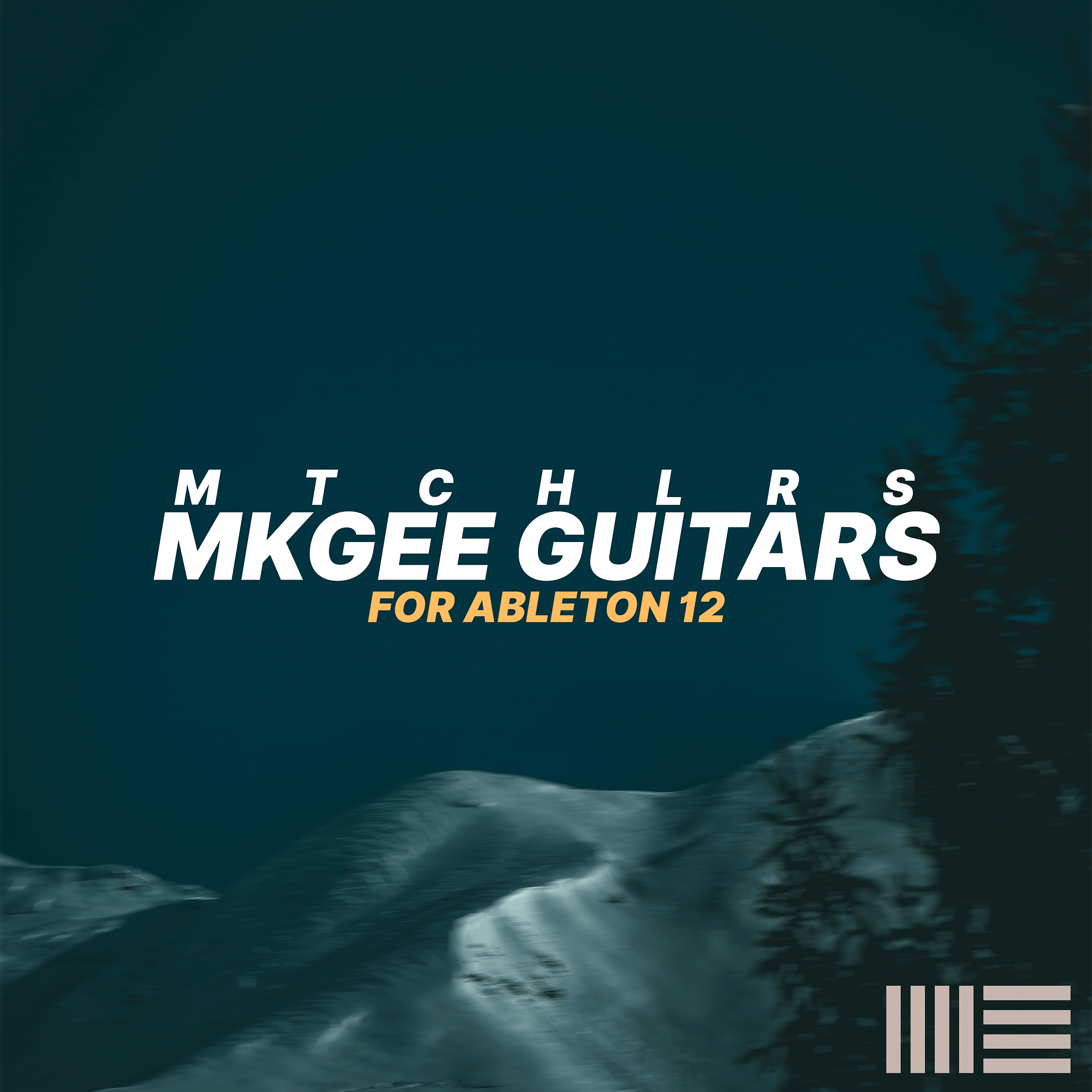 MkGee Guitar Bundle (RaingerFX, MkGee Guitars) product image (1)