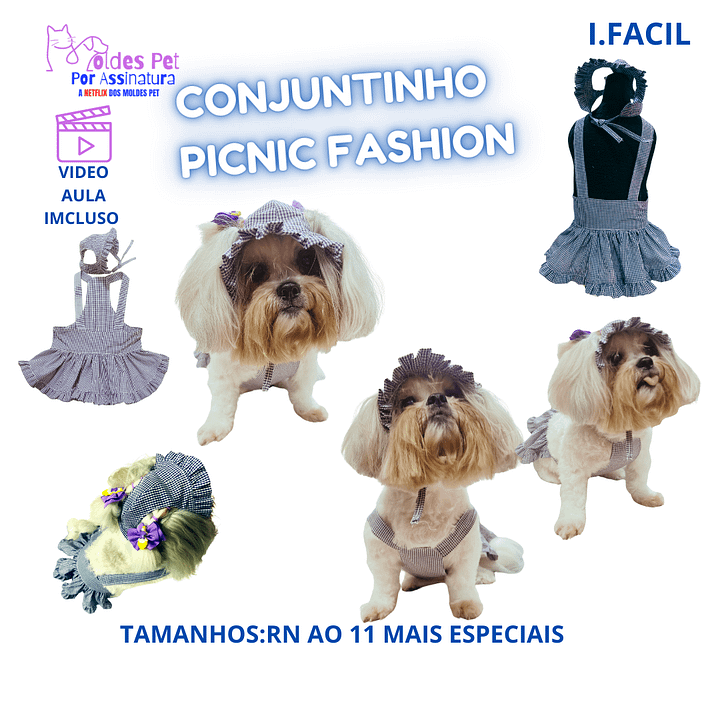 Conjuntinho Picnic Fashion - Modelagem Pet PDF product image (1)