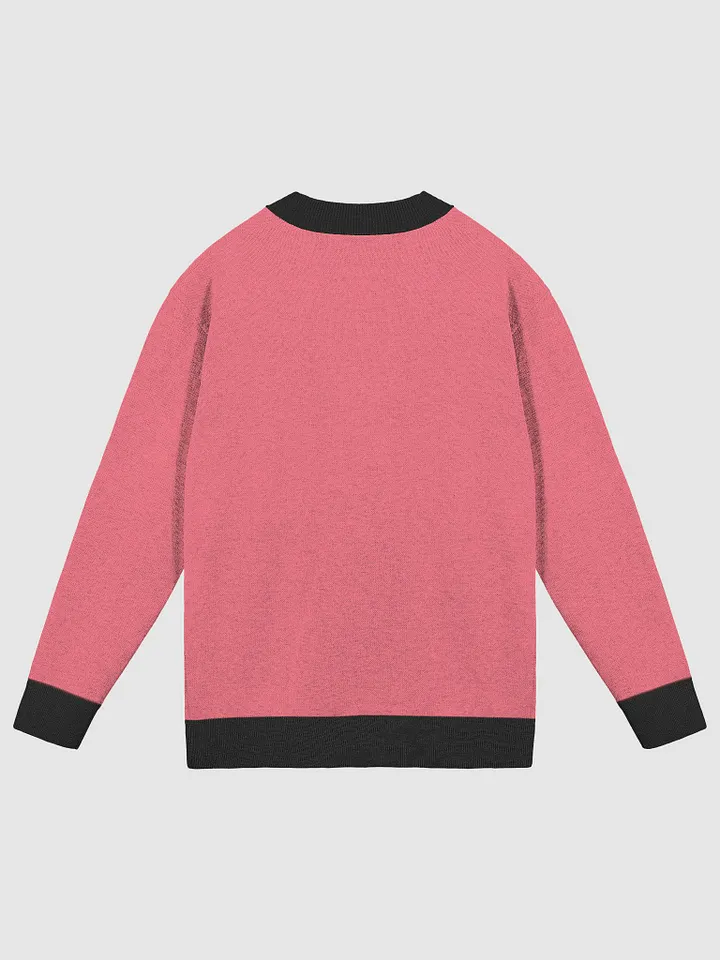 CS Sweater product image (2)