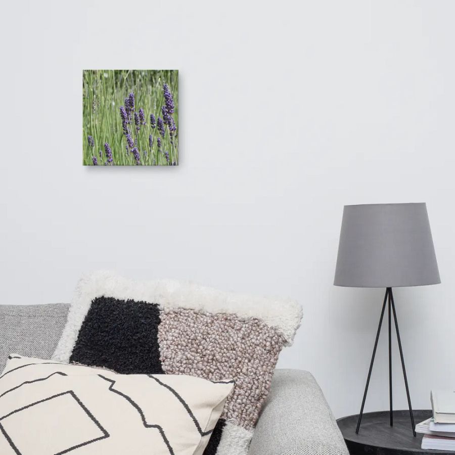 Field of Lavender product image (10)