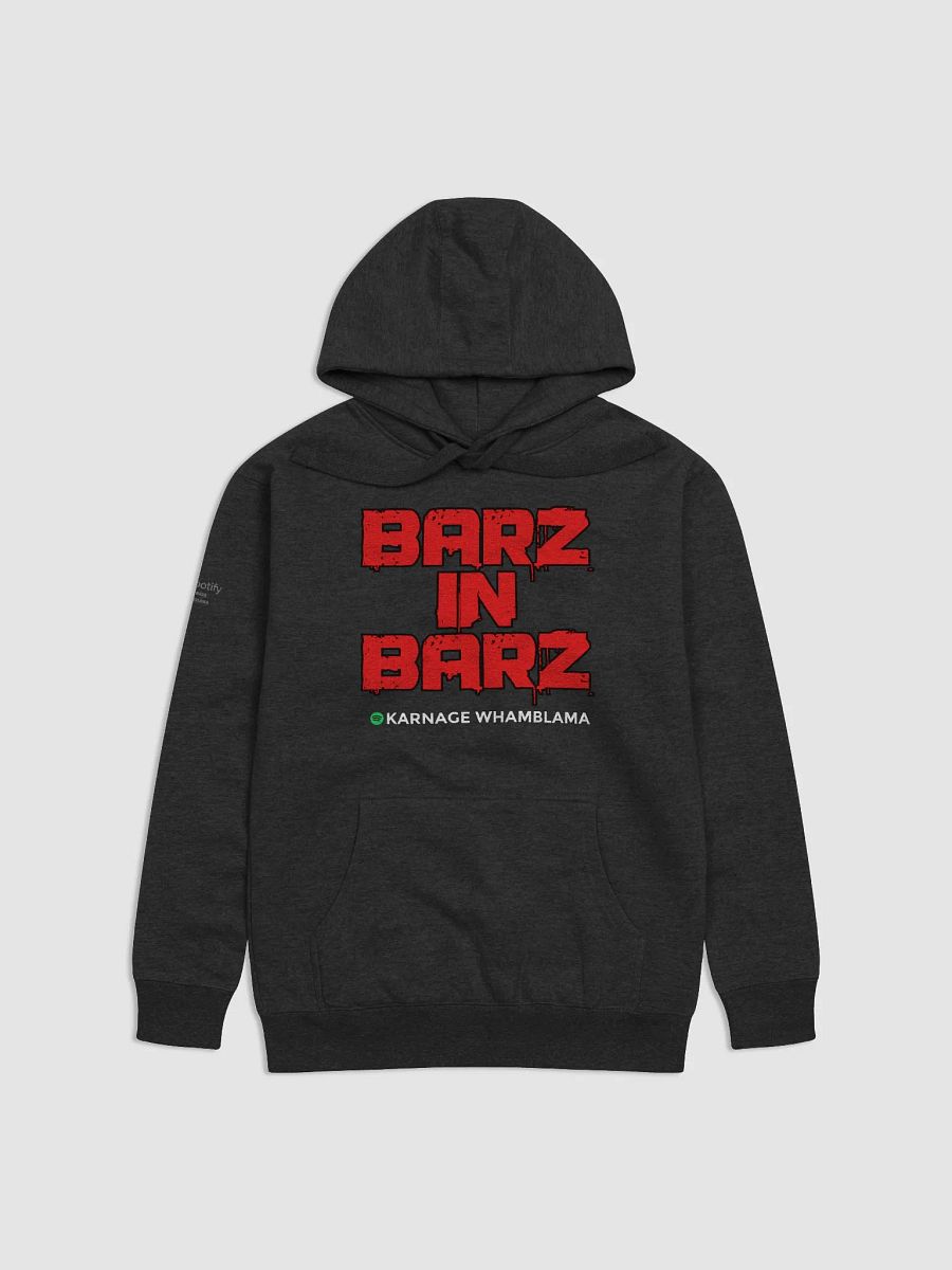 BARZ IN BARZ HOODIE product image (5)