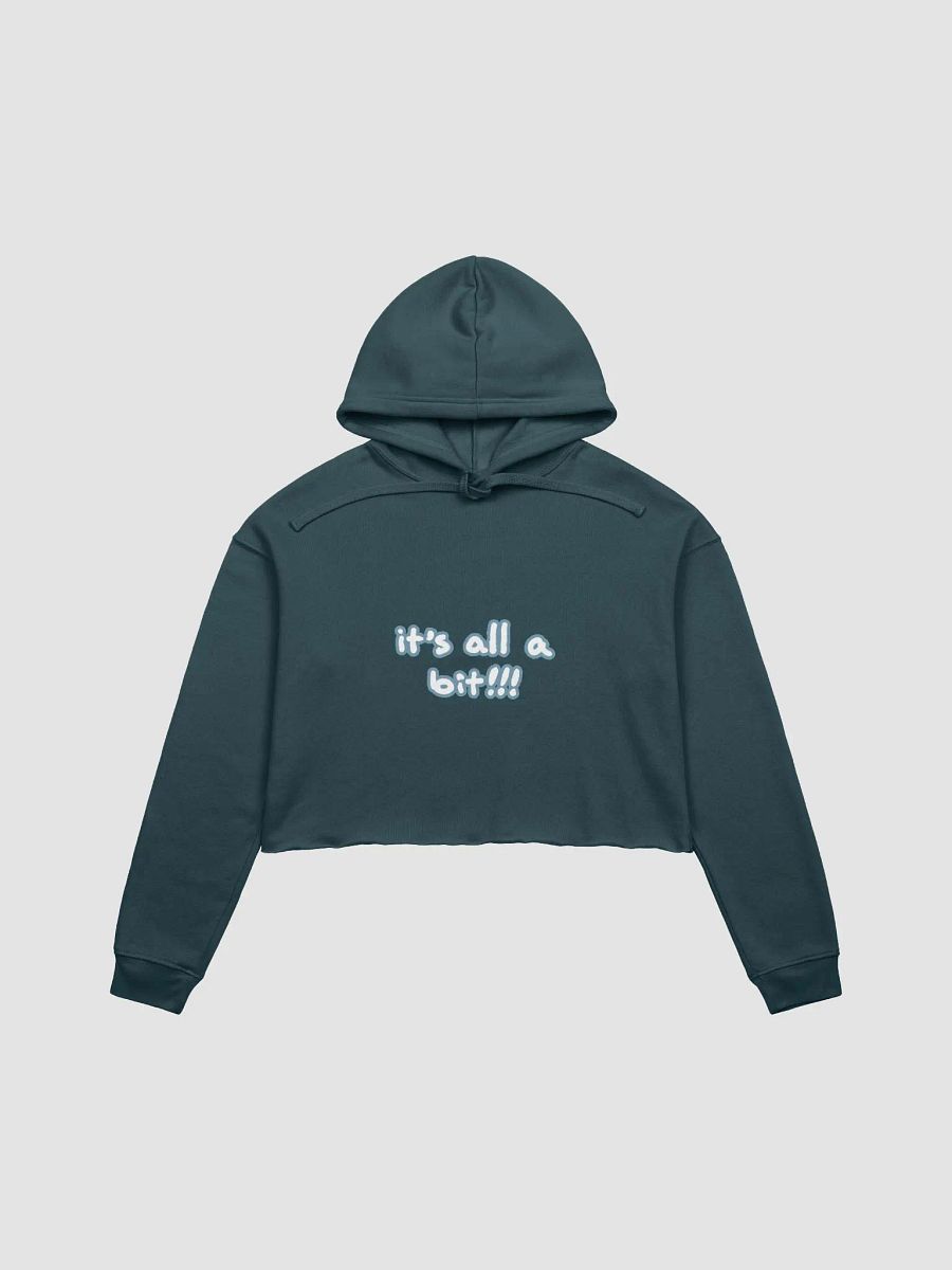 “It’s all a bit!!!” (lined design, #709AAF) fleece cropped hoodie product image (2)