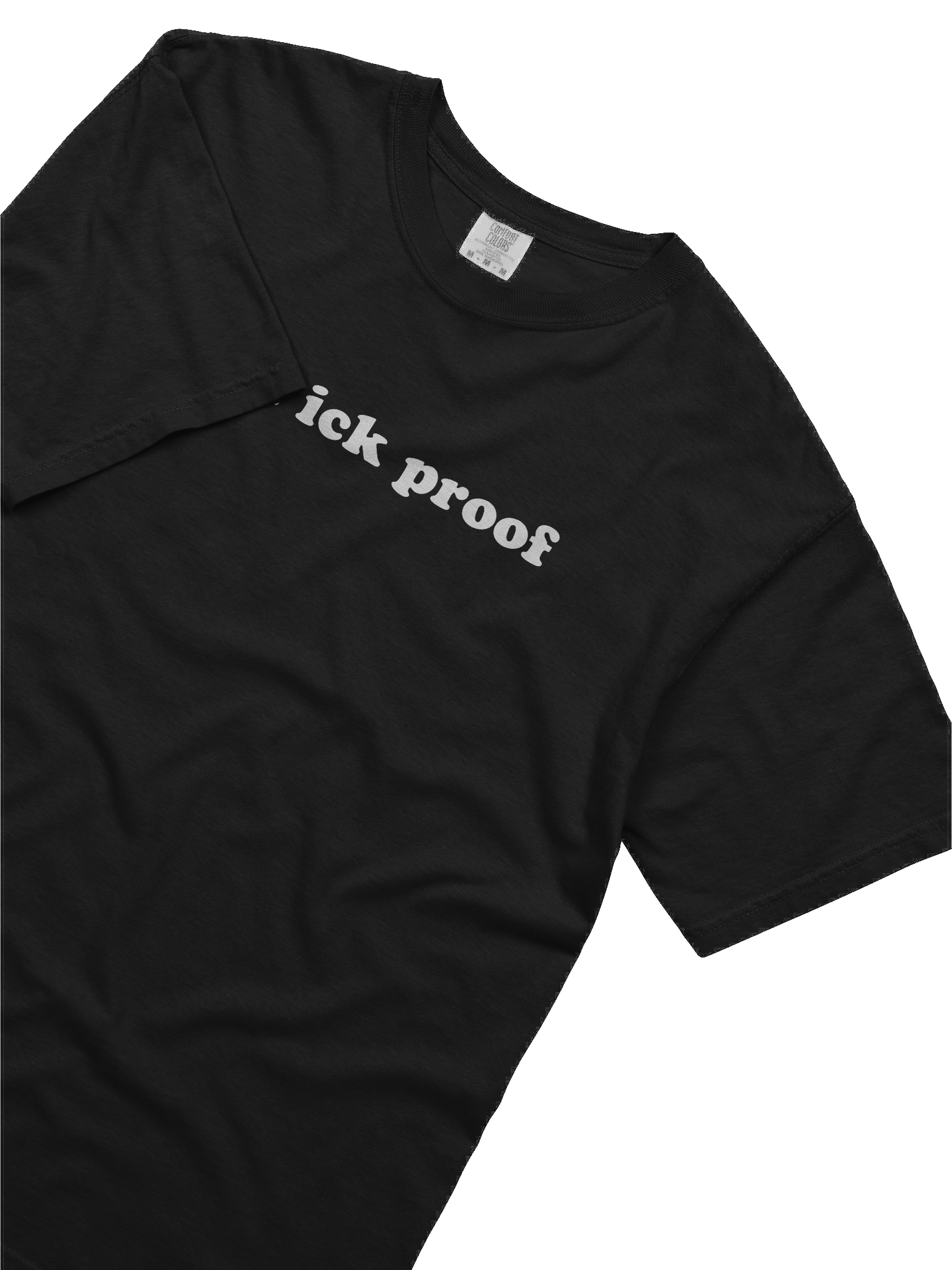 I'm Ick-Proof Comfort: Stylized Text Heavyweight Tee product image (3)