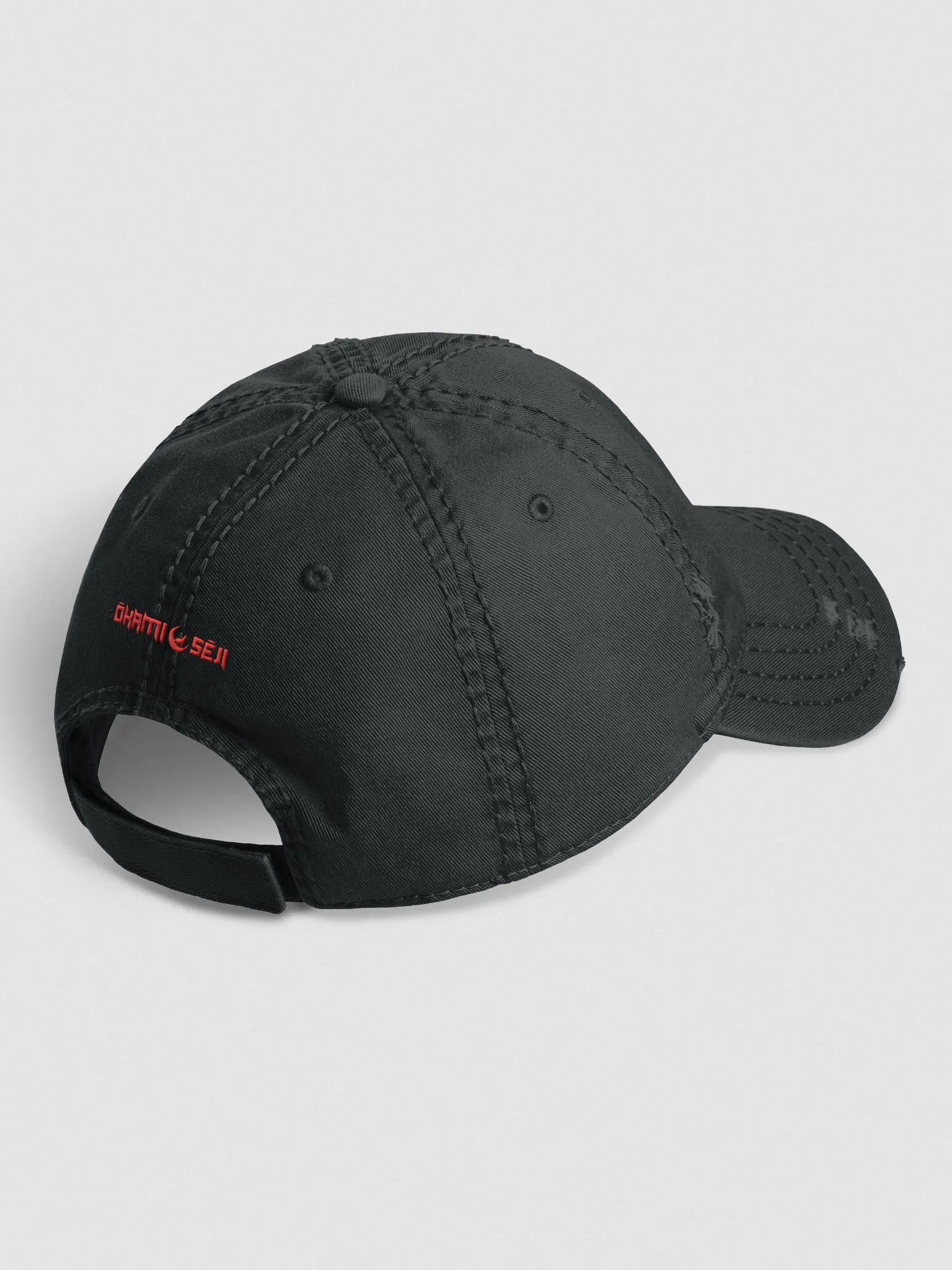 Seji's Dad Hat product image (3)