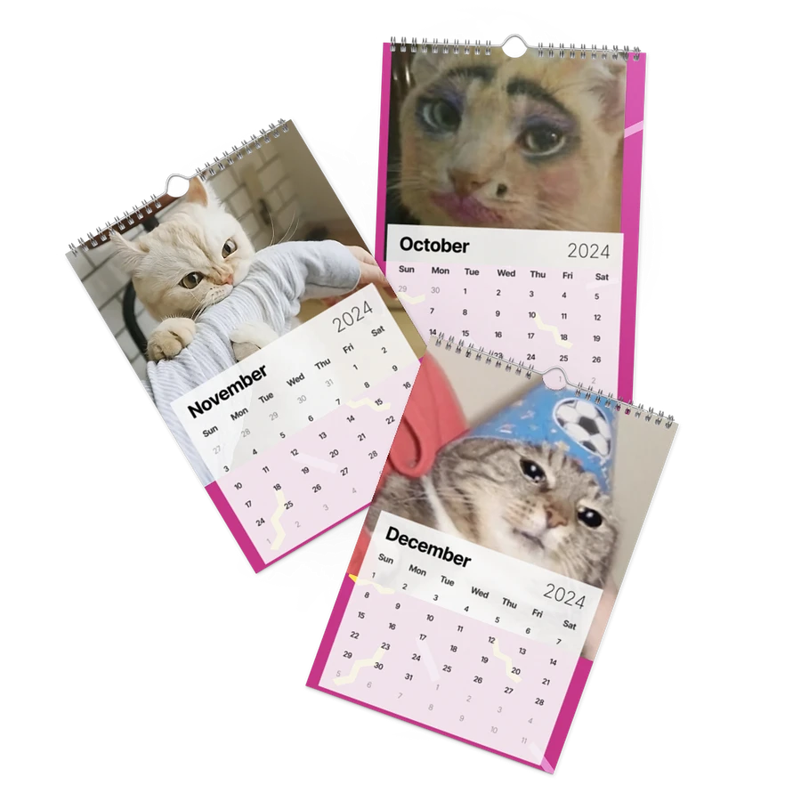 Wall Calendar (2024): Meme Cats product image (17)