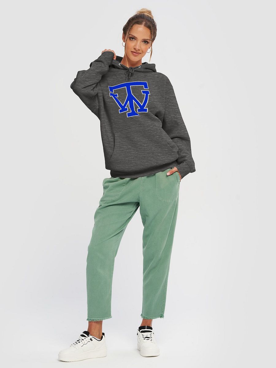 TW Logo Hoodie product image (3)