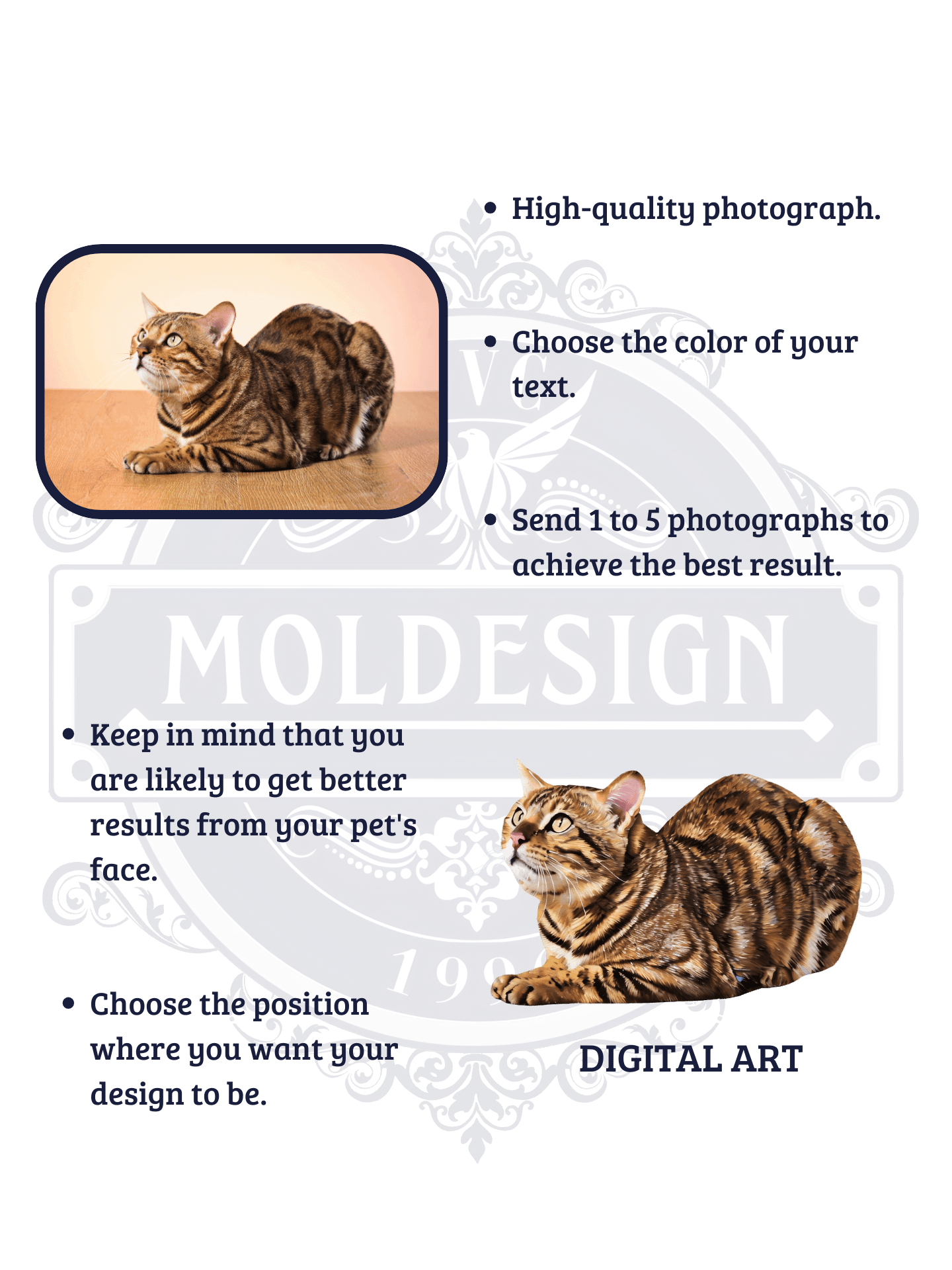 YOUR BENGAL! / T-SHIRT WITH PERSONALIZED NAME / DIGITAL ART III product image (4)