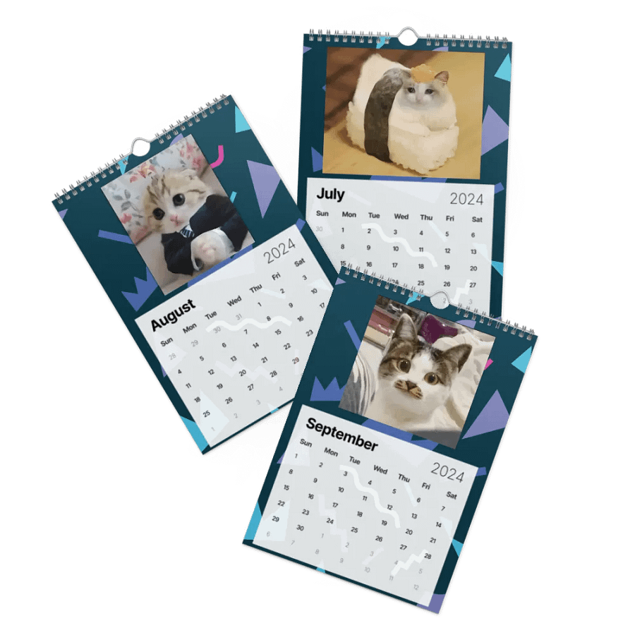 Wall Calendar (2024): Meme Cats product image (11)